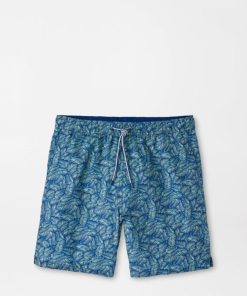 Xenonwear.shop0b090e20c8 1