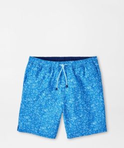 Xenonwear.shop287bc49ef5 1